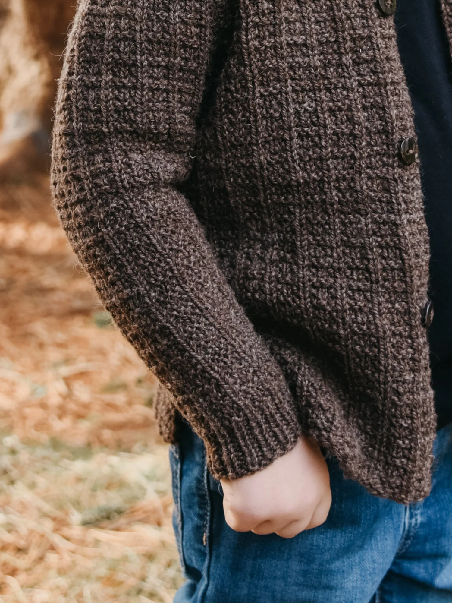 Whitfield Shorty <br/><small>knitting pattern</small>